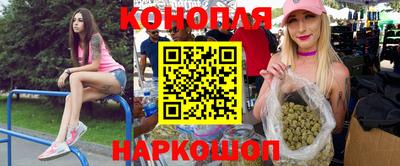 прущие грибы Обь